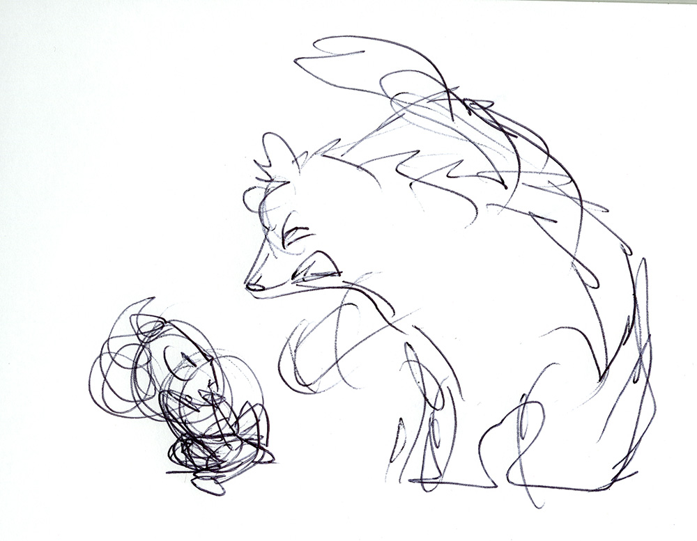 Cori Doerrfeld "The Rabbit Listened" Interview - Rough Sketch