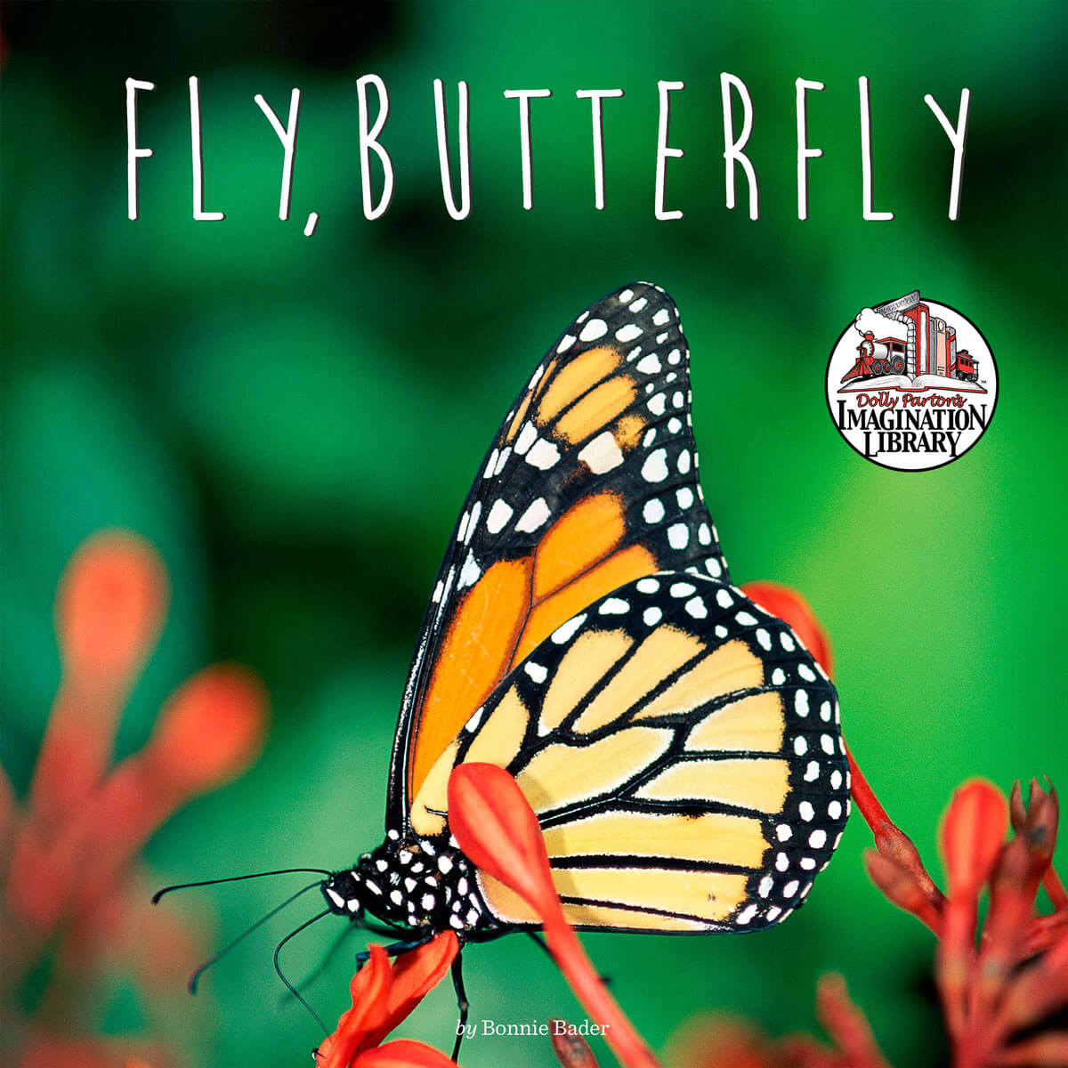 Fly Butterfly - Dolly Parton's Imagination Library