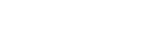 White Dollywood Foundation Logo